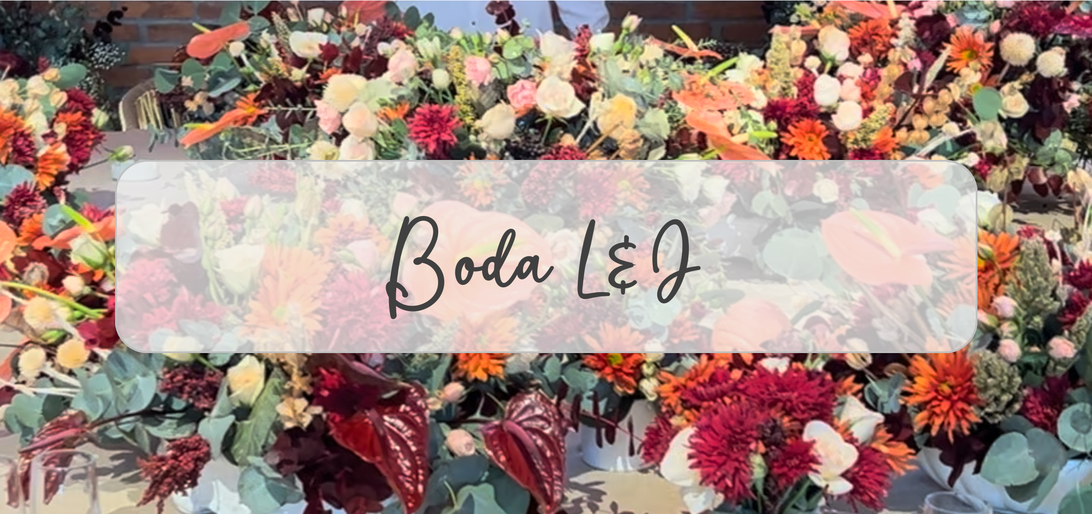 Boda L&J