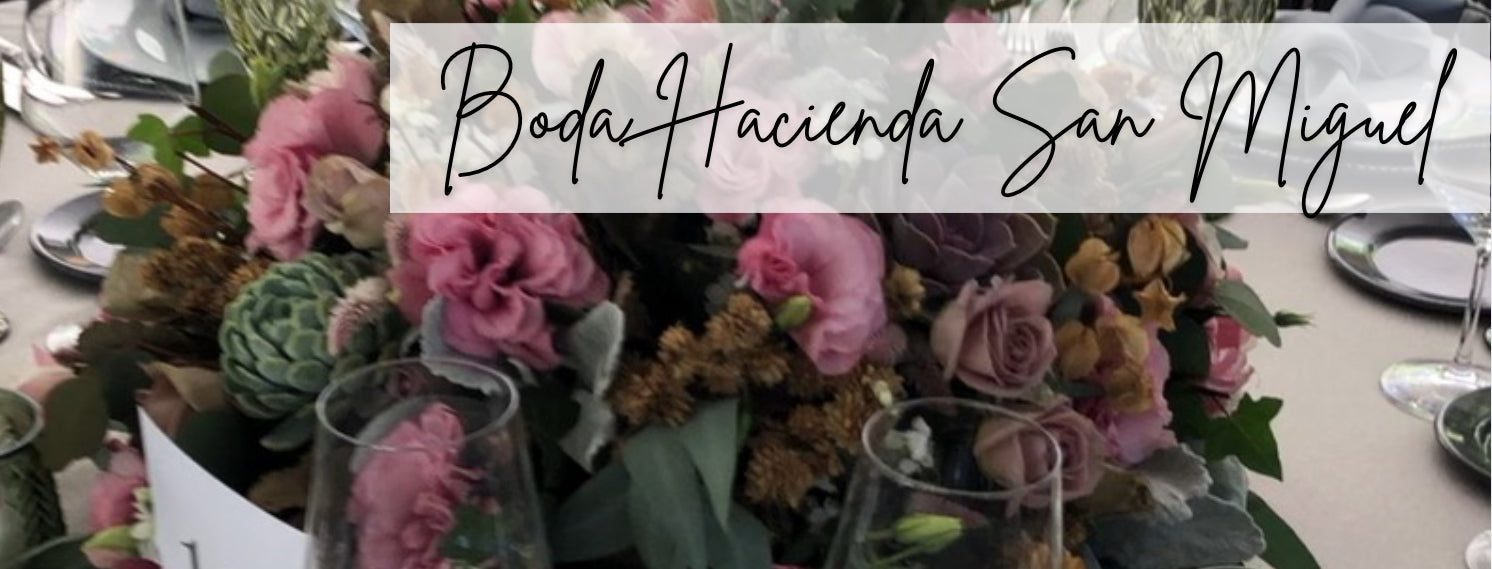 Boda Hacienda San Miguel Toltepec