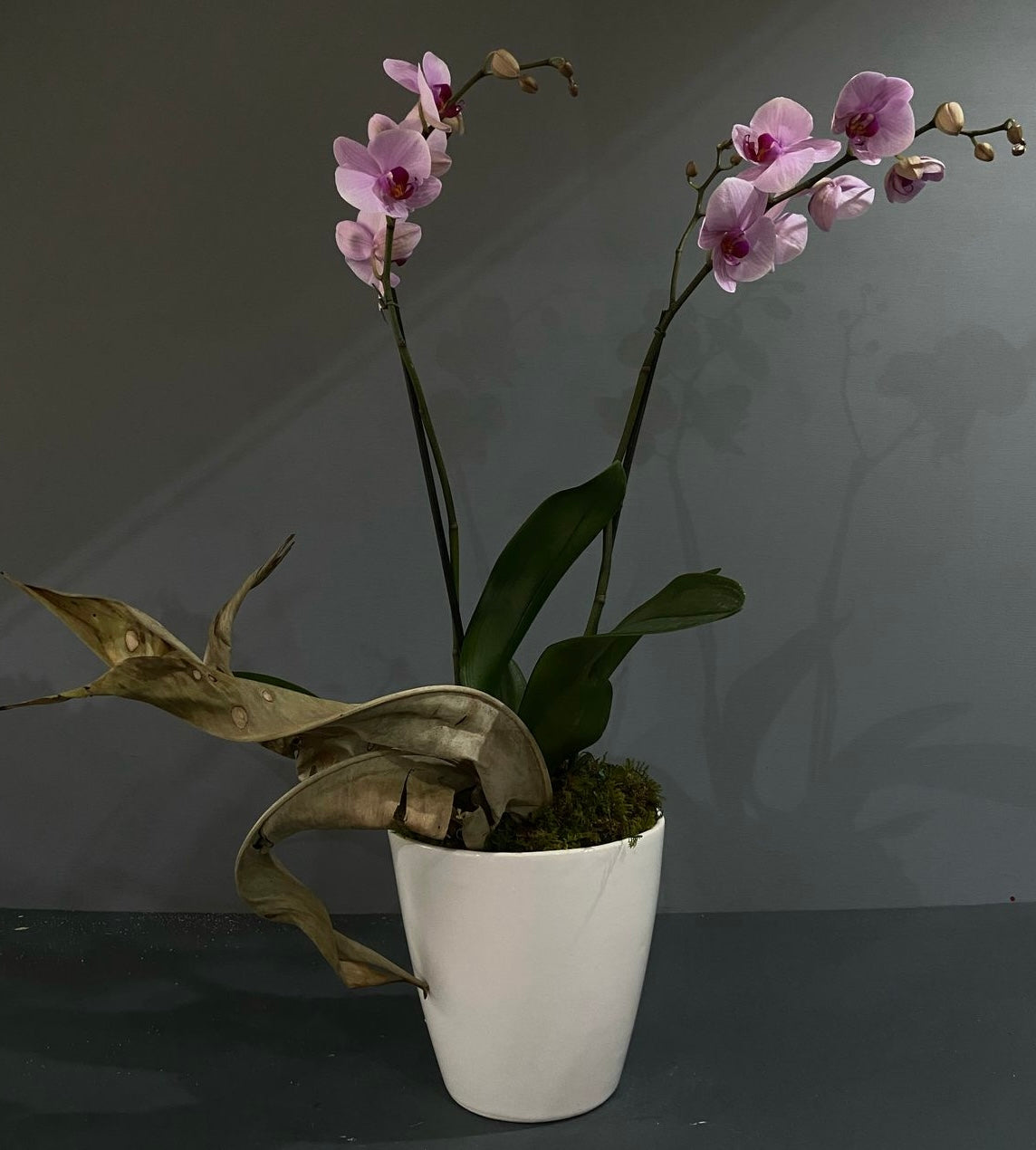 Orquídea 2 tallos