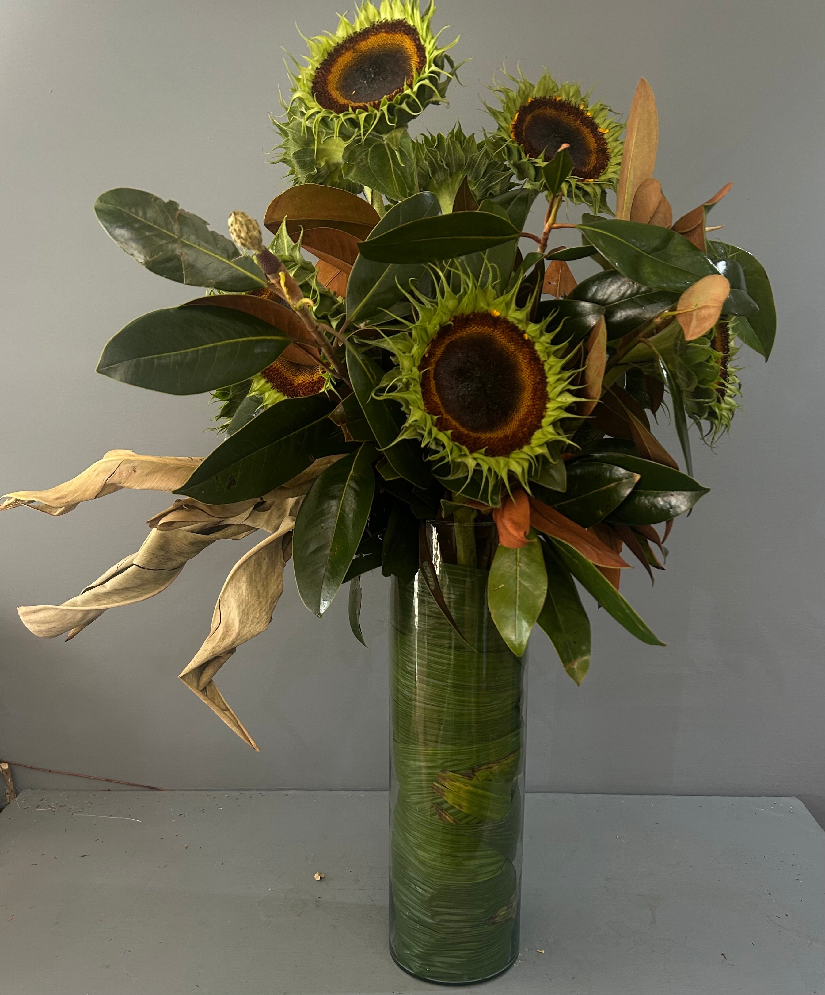 Green sunflowers