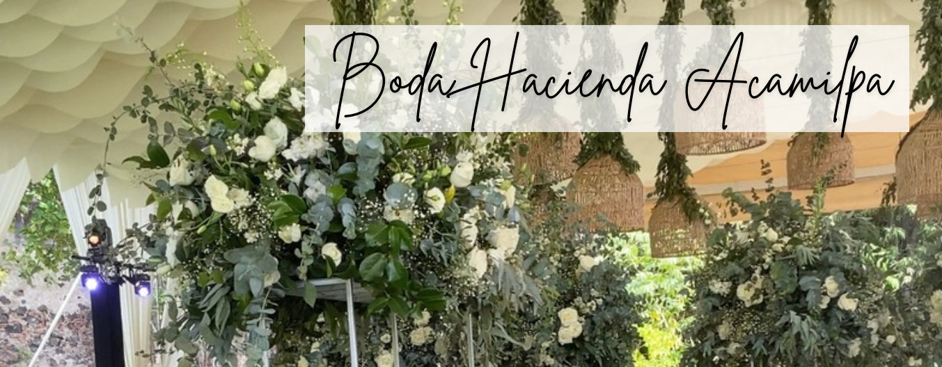 Boda Hacienda Acamilpa