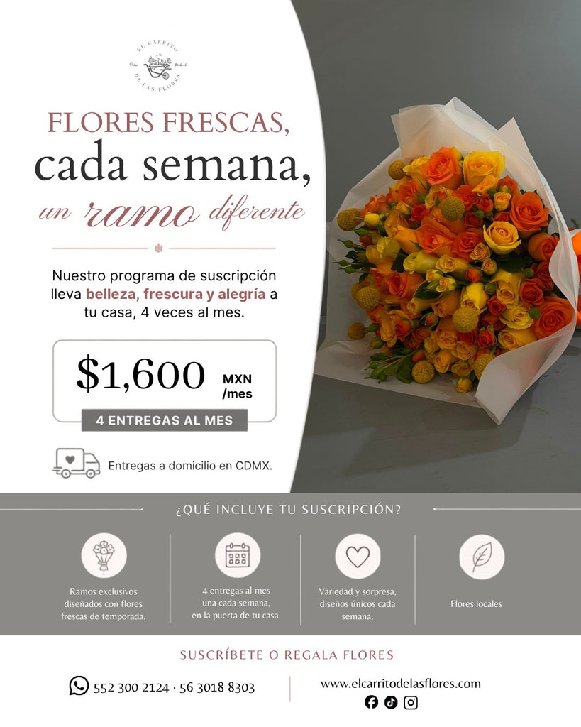 Suscripción ramo semanal 4 entregas