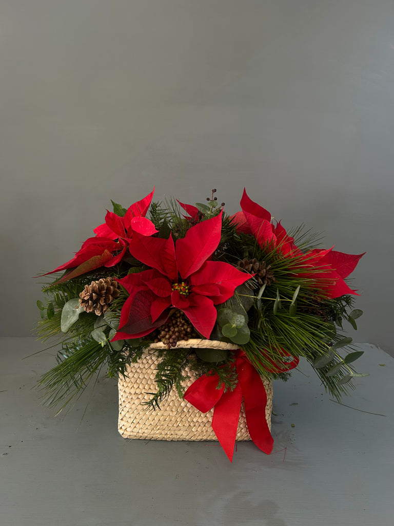 Christmas Bag Nochebuenas