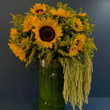 Los Girasoles
